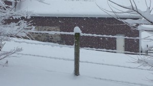 It Snowed So Much - It was Building Up on the Barbed Wire